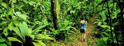 Costa Rica Nature  Braulio Parque Nature Trails