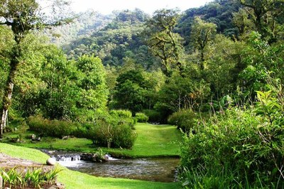 Costa Rica Nature Braulio Parque River