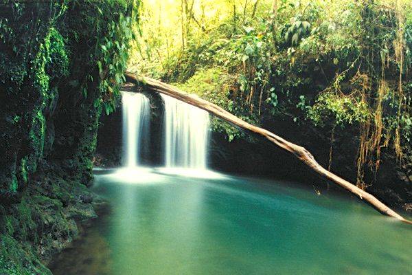 Costa Rica Nature Braulio Parque Waterfall