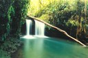 Costa Rica Nature Braulio Parque Waterfall