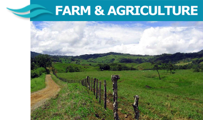 Farms & Agriculture Land For Sale in Guancaste, Costa Rica