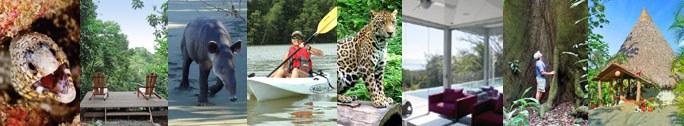 Activities in the Osa Peninsula in the South Pacific region of Costa Rica