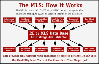 The MLS How It Works Graphic TEMP