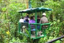 Costa Rica Nature Braulio Parque Canopy Tram