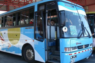 City Bus Service1