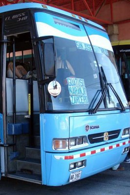 City Bus Service2