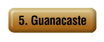 Province Button 5. Guanacaste