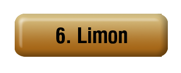 Province Button 6. Limon