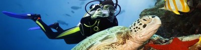 Scuba Diving photodune 518950 green turtle underwater m